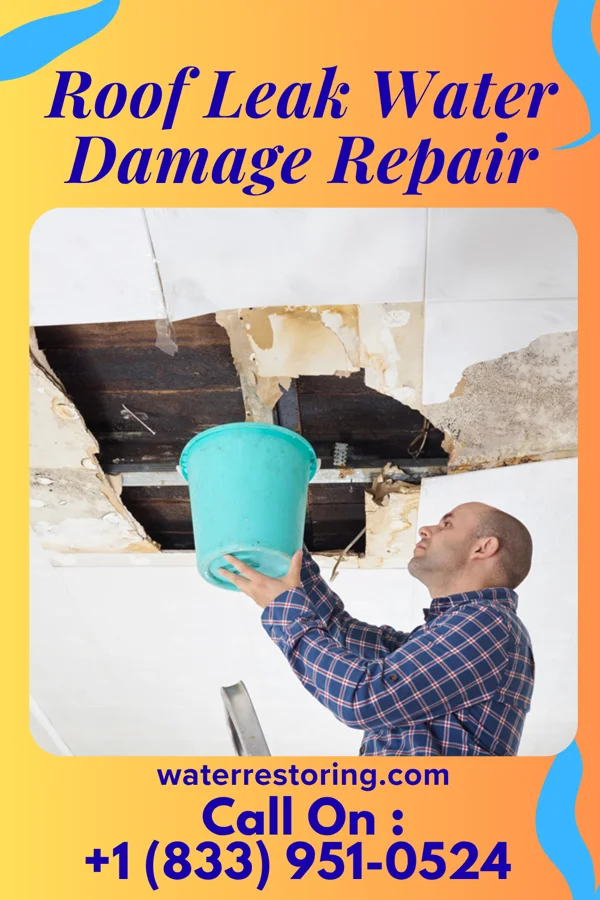 Roof Leak Water Damage Repair in Moulton, TX